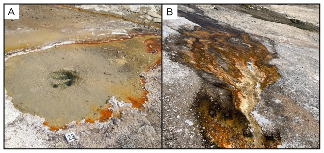 Figure 25