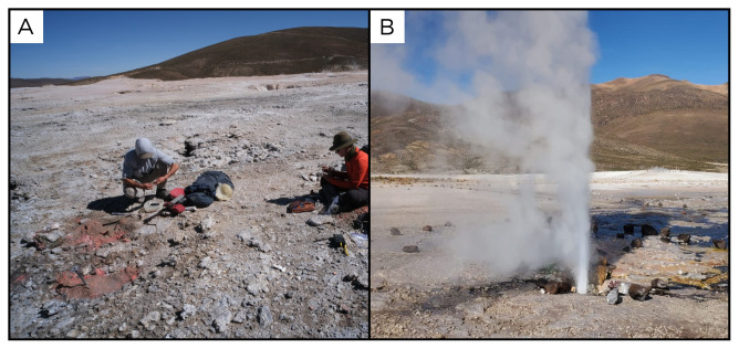 Figure 26