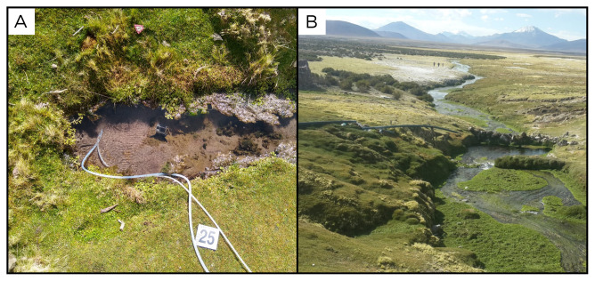 Figure 27