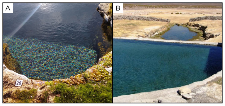 Figure 28