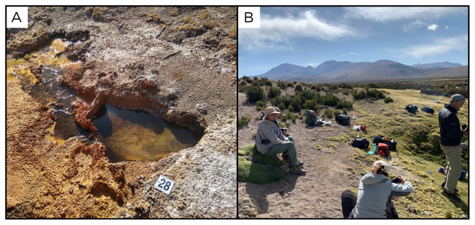 Figure 30