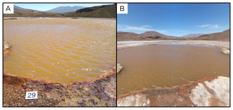 Figure 31