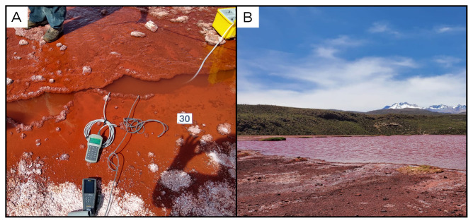 Figure 32