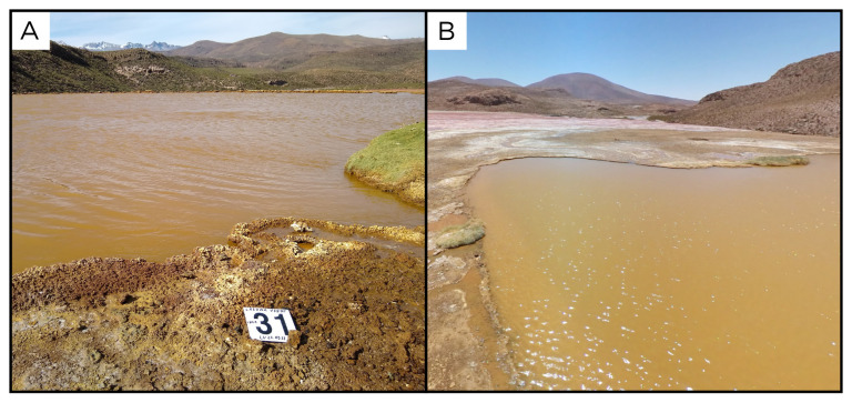 Figure 33