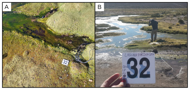 Figure 34