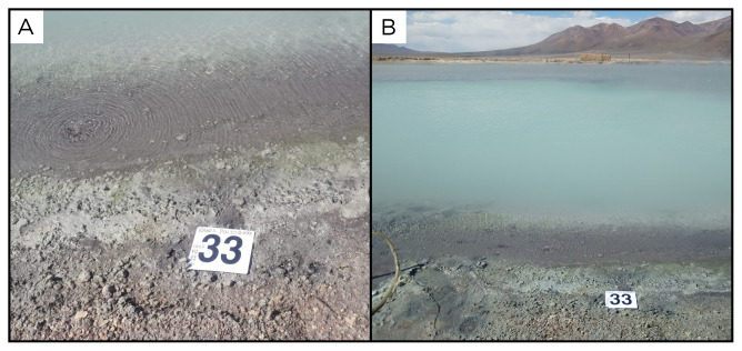 Figure 35