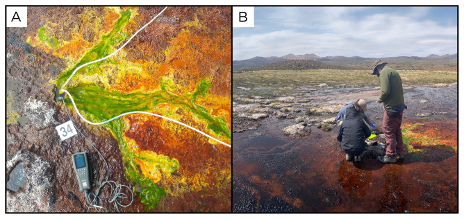 Figure 36