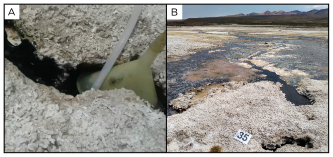Figure 37