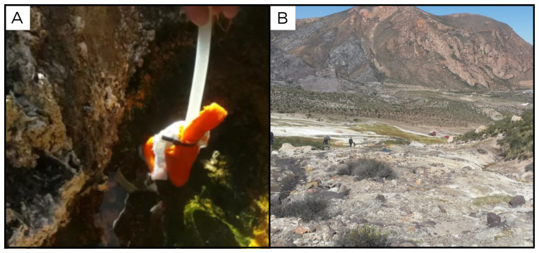 Figure 39