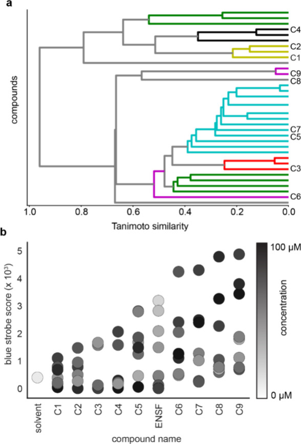 Figure 7