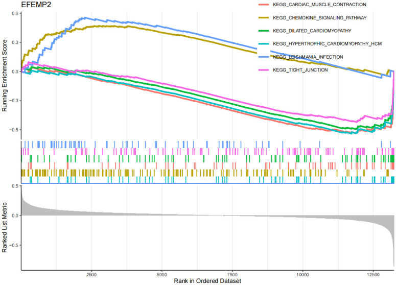 Fig 11