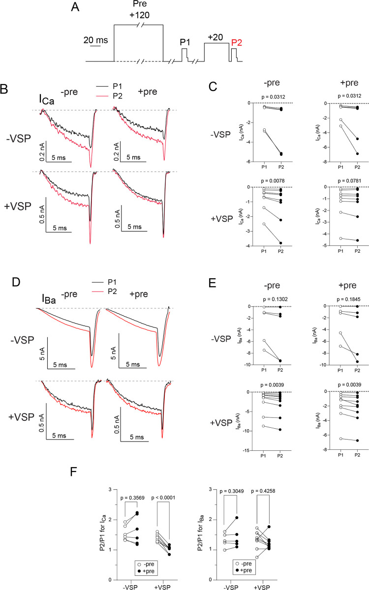 Fig 7