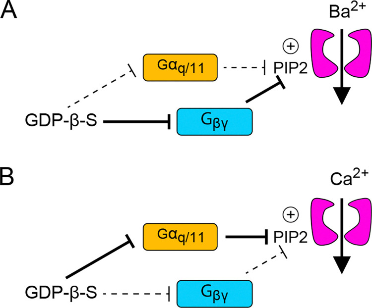 Fig 8
