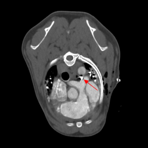 Figure 5