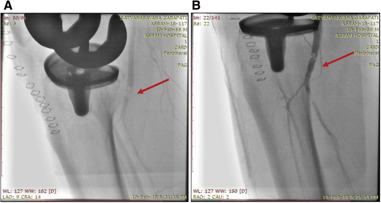 Figure 5