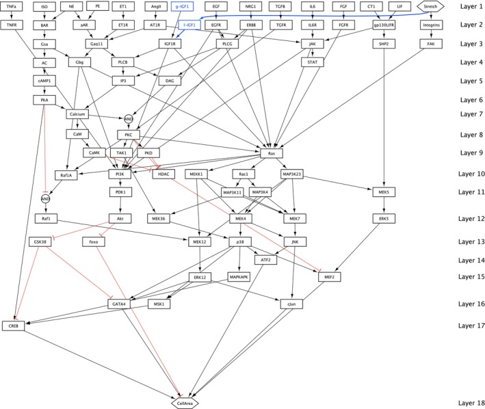 FIGURE 2