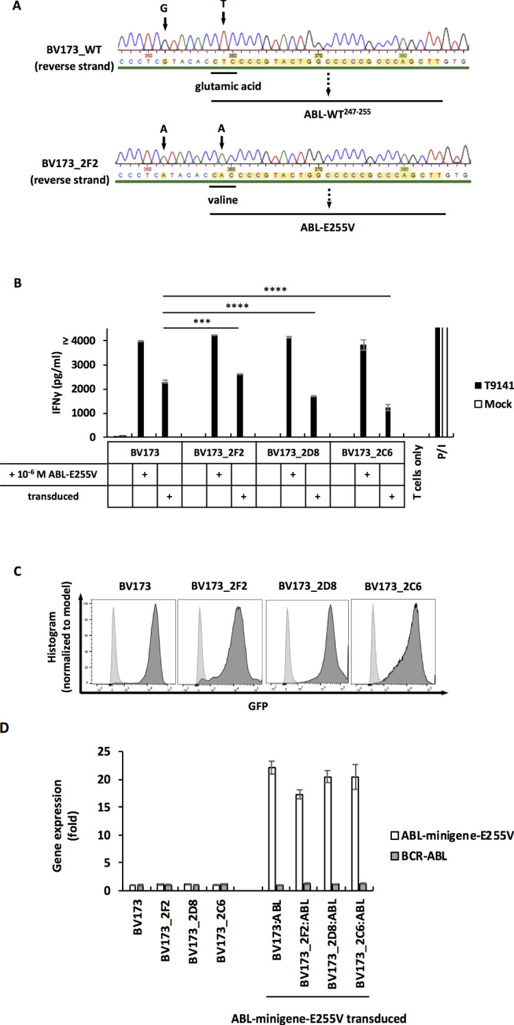 Figure 5