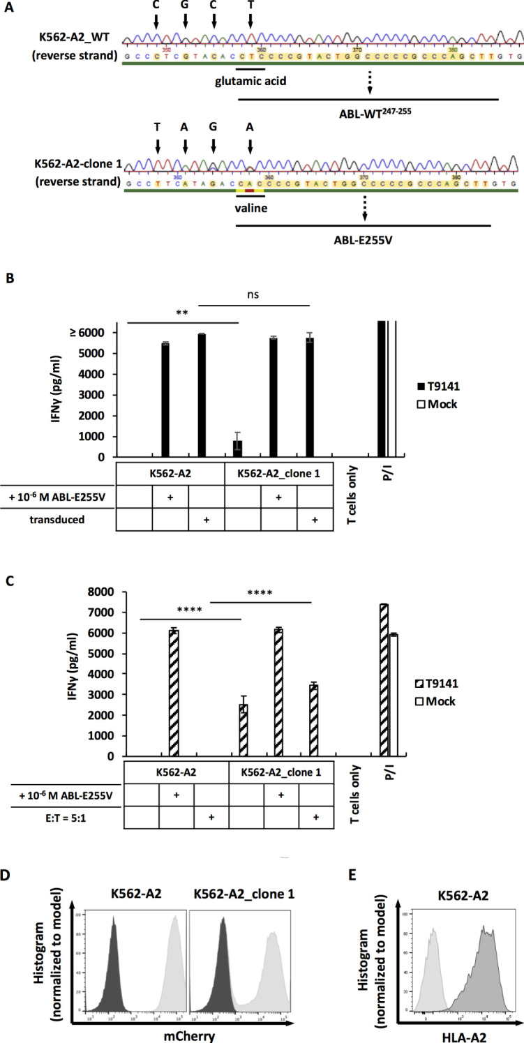 Figure 6