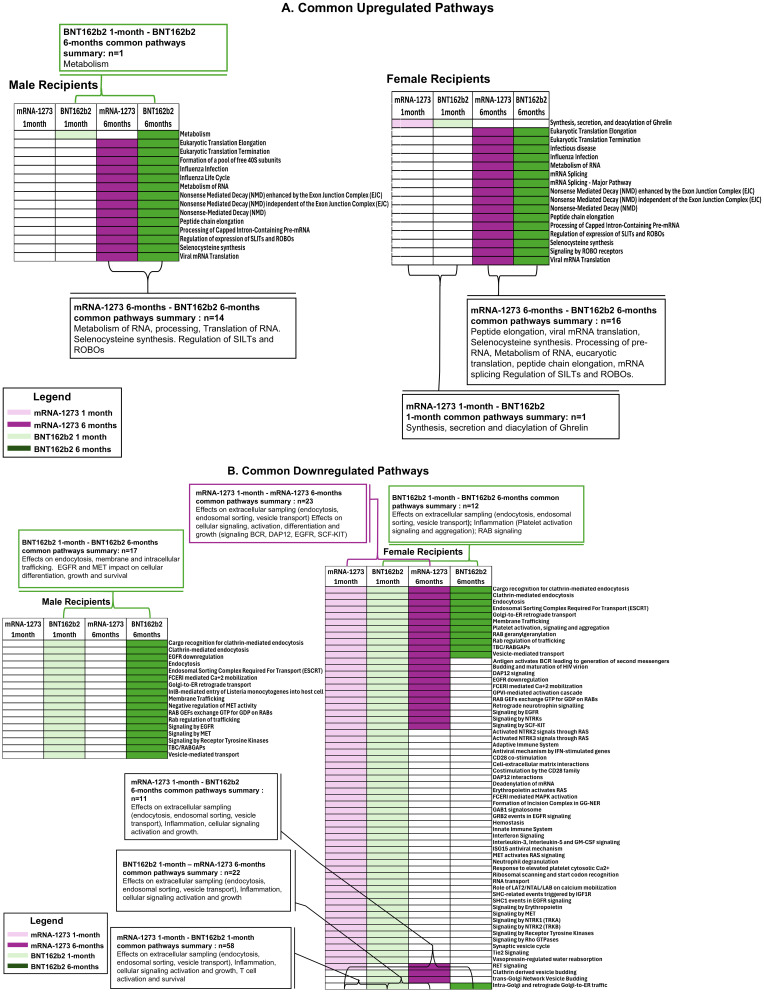 Figure 6