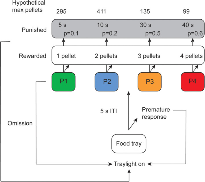 Figure 1