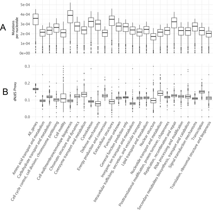 Figure 5