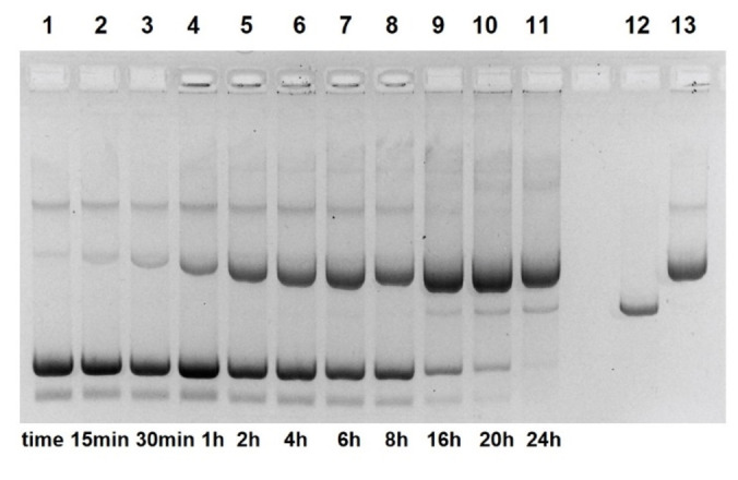 Figure 9