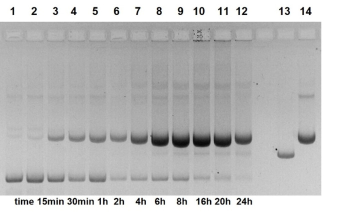 Figure 10