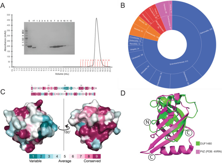 FIGURE 2
