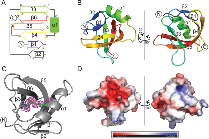 FIGURE 1