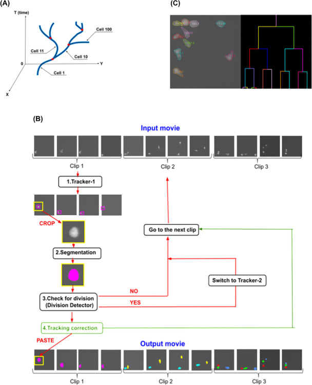 Fig 1