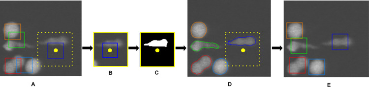 Fig 3