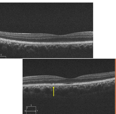Fig. 4