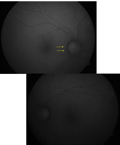 Fig. 5
