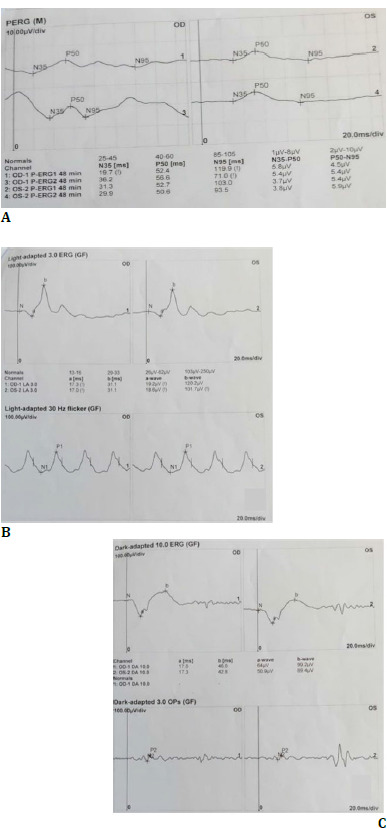 Fig. 6