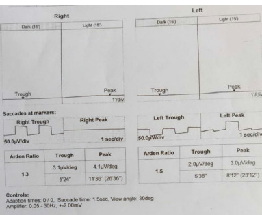 Fig. 7