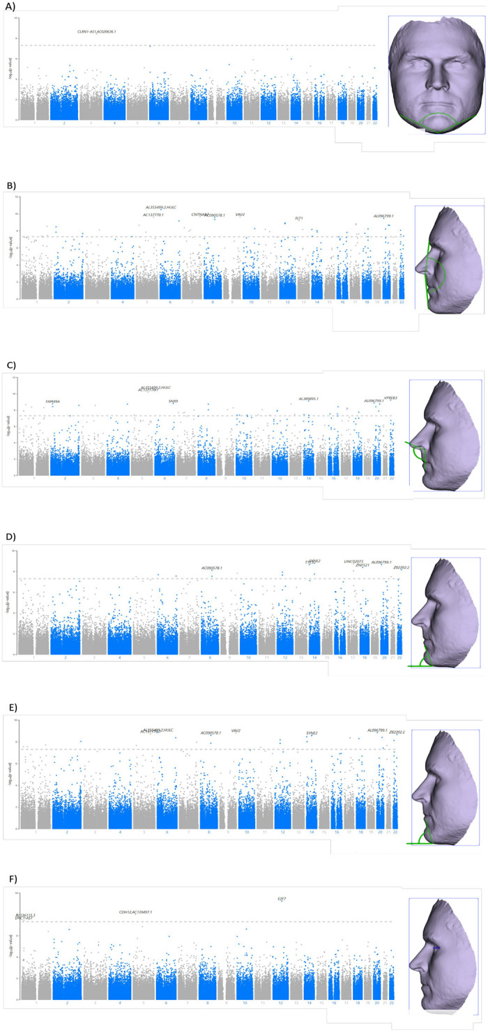 Fig 1