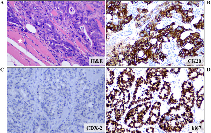 Figure 2