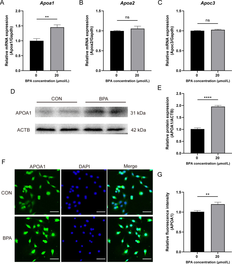 Figure 6