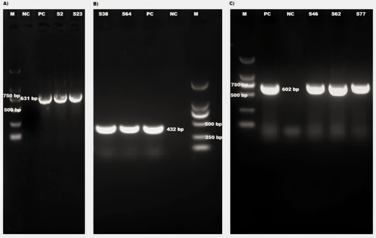 Figure 4