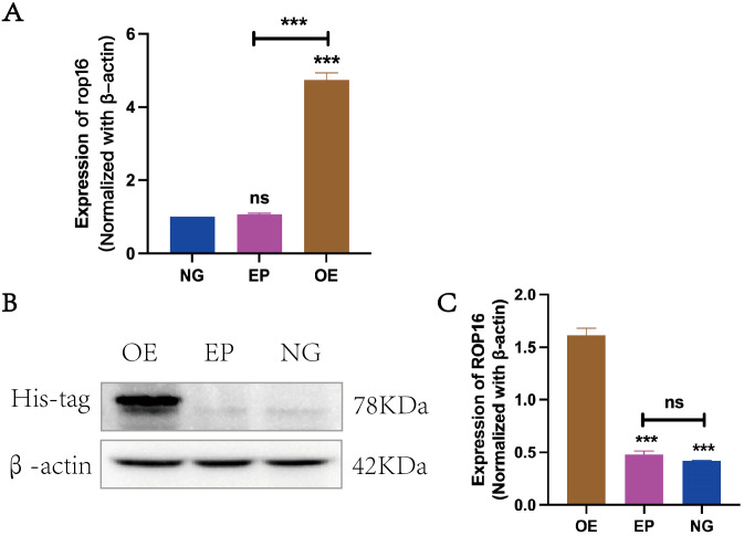 Figure 2