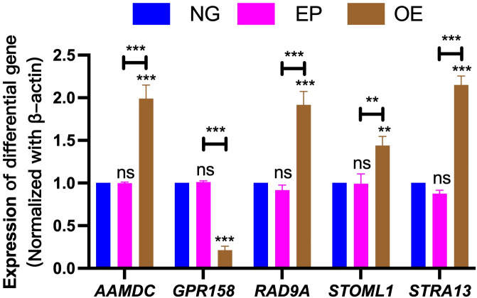 Figure 10