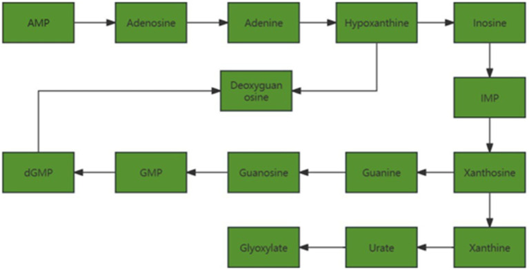 Figure 11