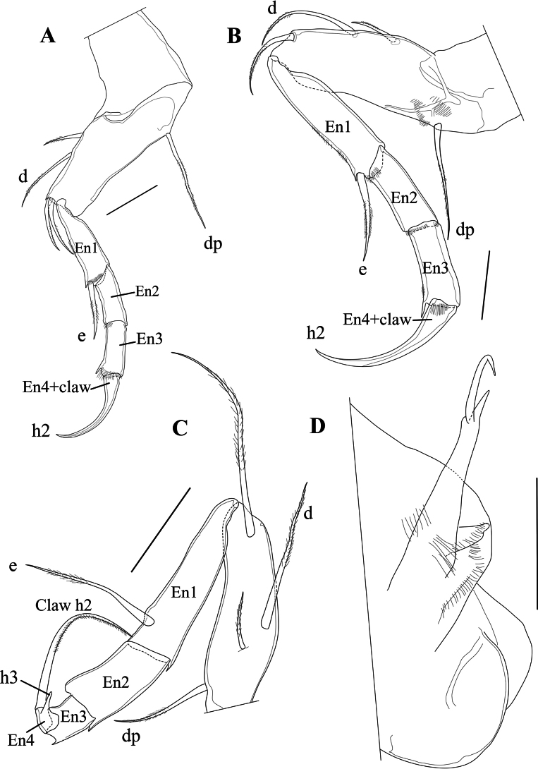 Figure 12