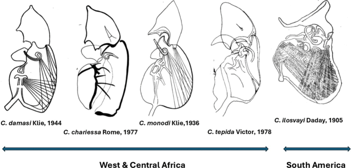 Figure 13