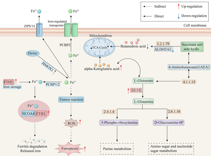 Figure 6