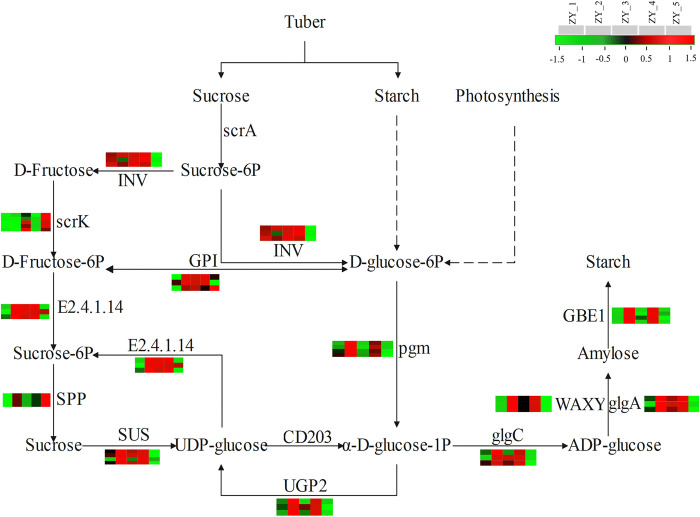 Figure 6