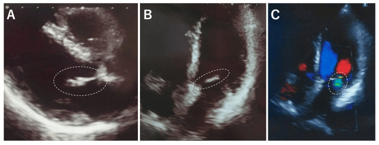 Figure 7