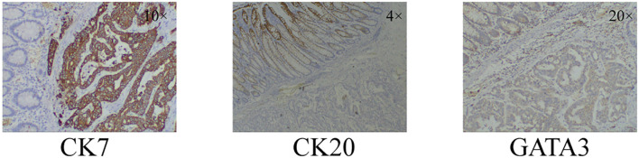 Figure 3