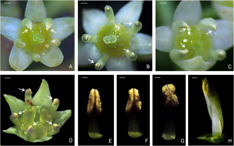 Figure 4