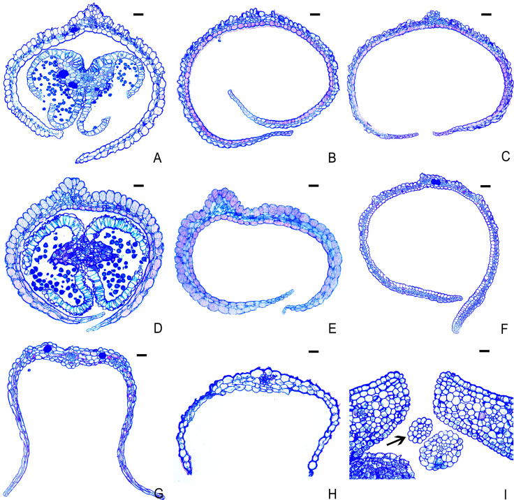Figure 8